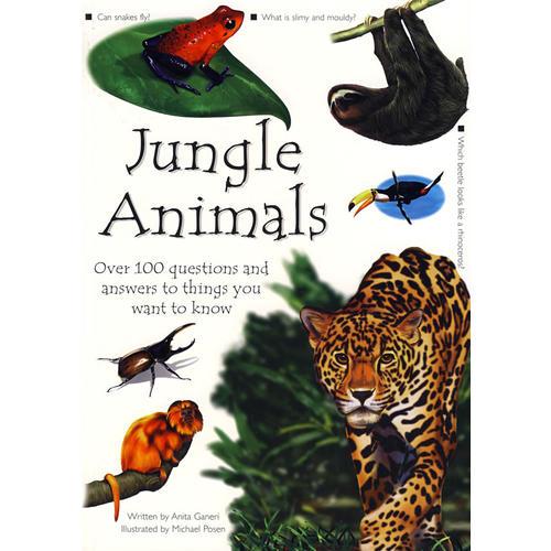 雨林中的动物 JUNGLE ANIMALS