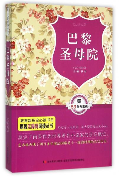 原著无障碍阅读丛书：巴黎圣母院