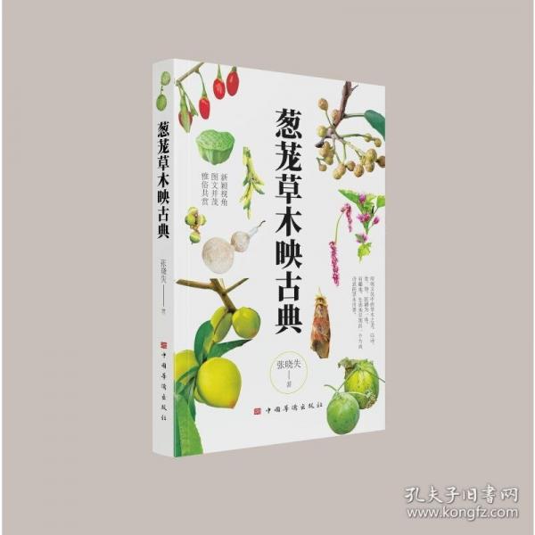 葱笔草木映古典