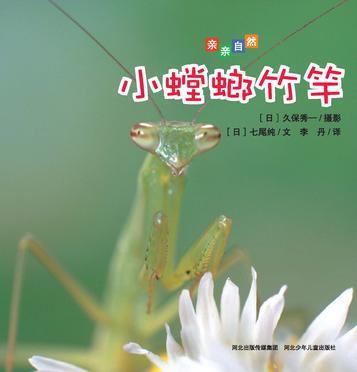 親親自然：小螳螂竹竿