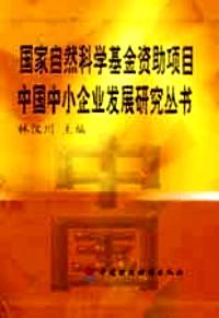 中國(guó)中小企業(yè)政府支持體系研究