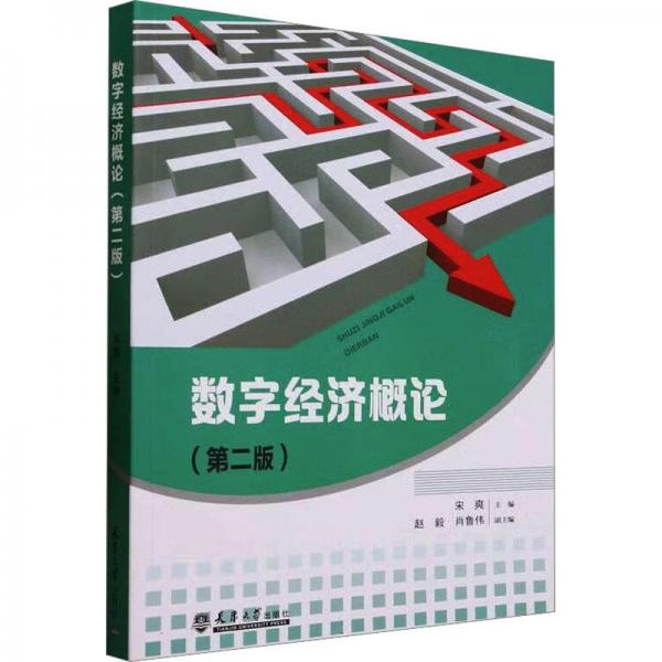全新正版圖書 數(shù)字濟(jì)概論（第二版）宋爽天津大學(xué)出版社9787561875490