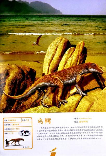 恐龙100大图鉴