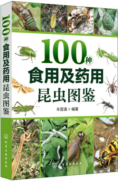 100种食用及药用昆虫图鉴