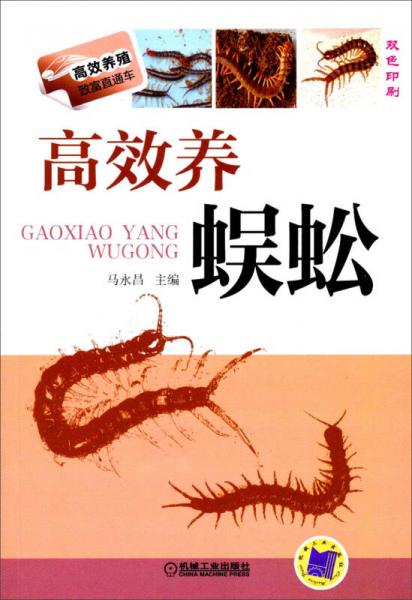 高效養(yǎng)殖致富直通車：高效養(yǎng)蜈蚣