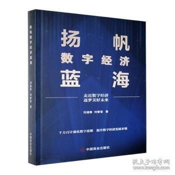 揚(yáng)帆數(shù)字經(jīng)濟(jì)藍(lán)海