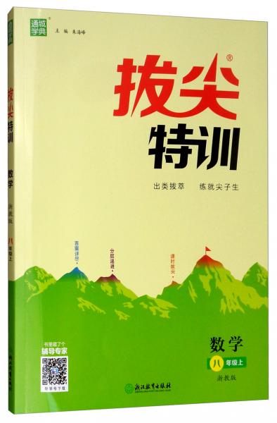 数学/通城学典·拔尖特训