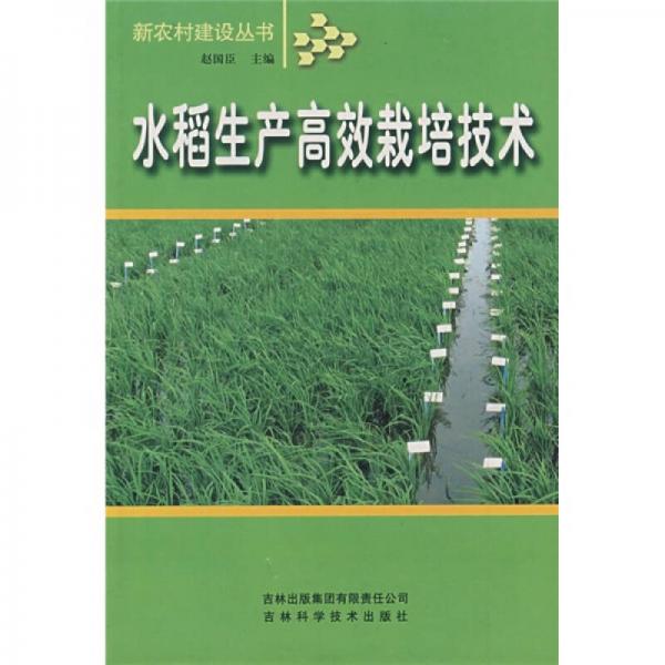 水稻生產(chǎn)高效栽培技術(shù)