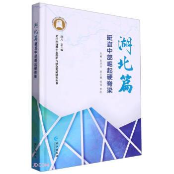 全新正版圖書 湖北篇：挺直中部崛起硬脊梁彭賢則長江出版社9787549263851