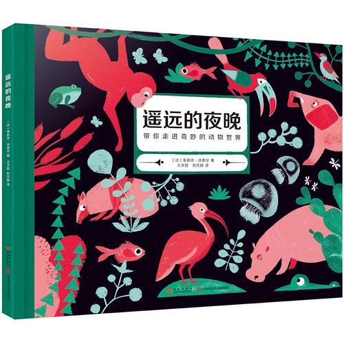 遙遠的夜晚