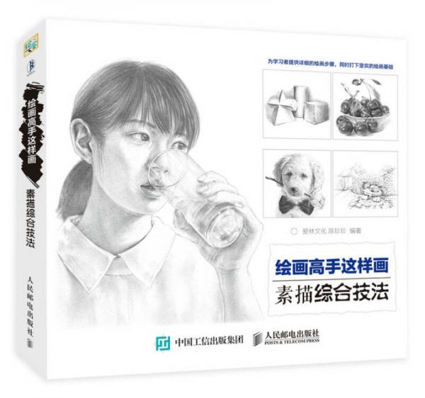 繪畫高手這樣畫——素描綜合技法