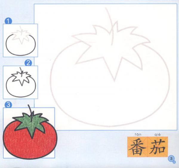 唐克教你学画画·简笔画：植物