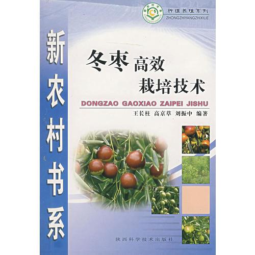 冬棗高效栽培技術