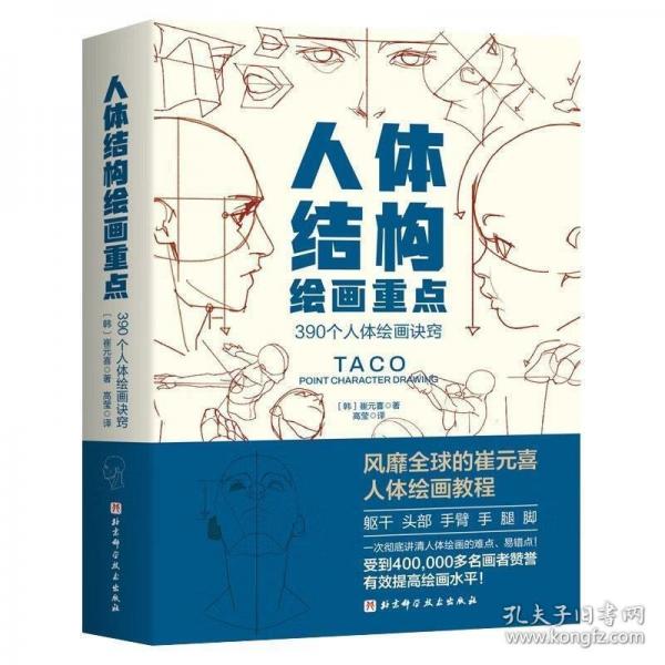 人體結(jié)構(gòu)繪畫重點