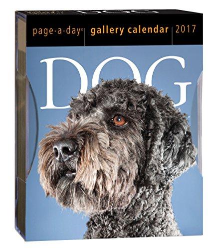 Dog Page-A-Day Gallery Calendar 2017