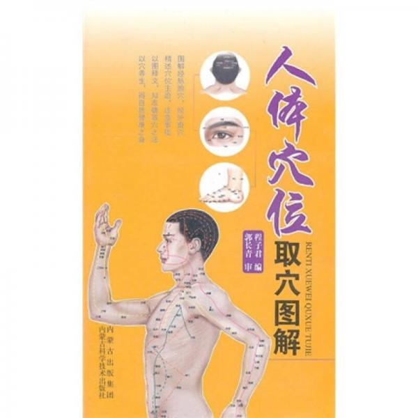 人體穴位取穴圖解