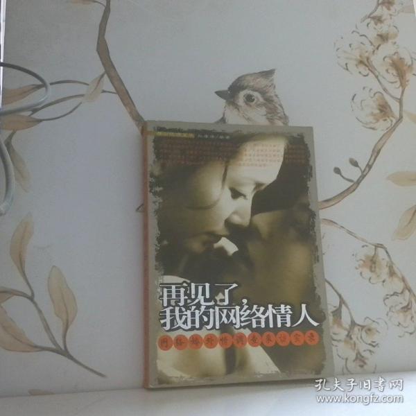 再见了，我的网络情人:网络婚外情调查采访纪实