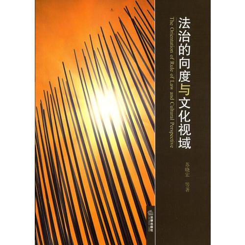 法治的向度與文化視域