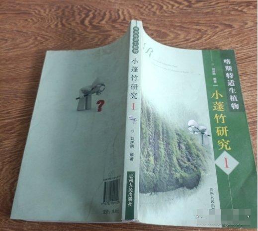 喀斯特適生植物.Ⅰ.小蓬竹研究.I.Drepanostachyum luodianense in Karst