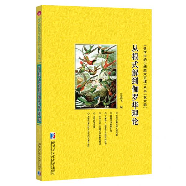 從根式解到伽羅華理論
