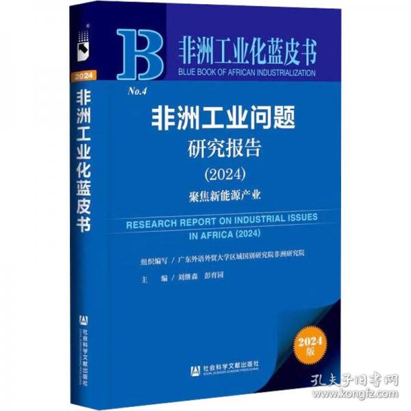 非洲工业问题研究报告 聚焦新能源产业