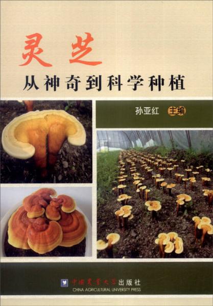 靈芝從神奇到科學(xué)種植