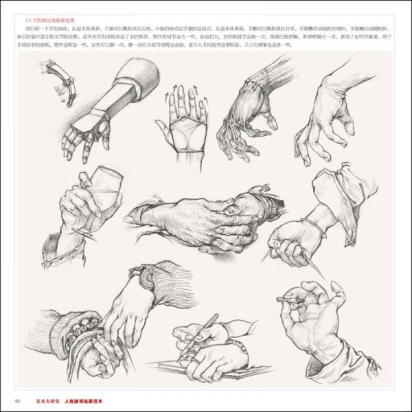 美术大讲堂人物速写临摹范本