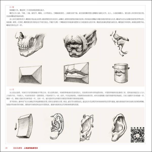 美术大讲堂人物速写临摹范本