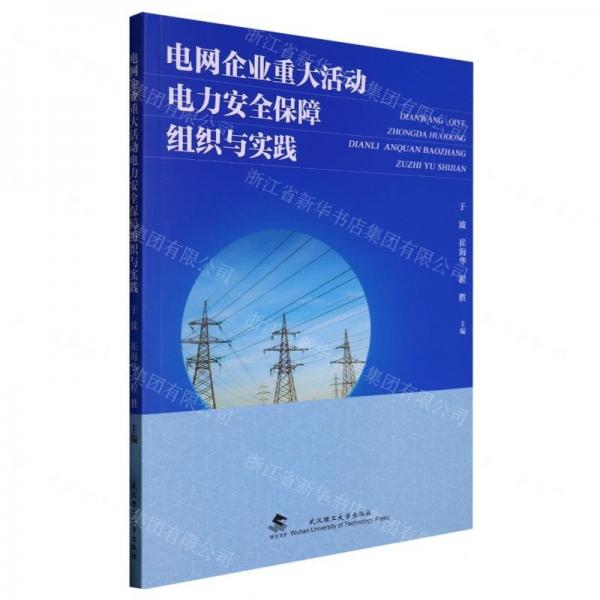 電網(wǎng)企業(yè)重大活動電力安全保障組織與實踐