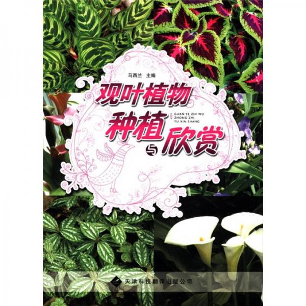 觀葉植物種植與欣賞