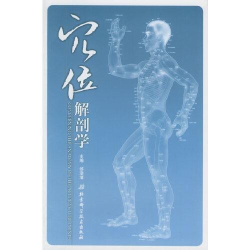 穴位解剖學(xué)