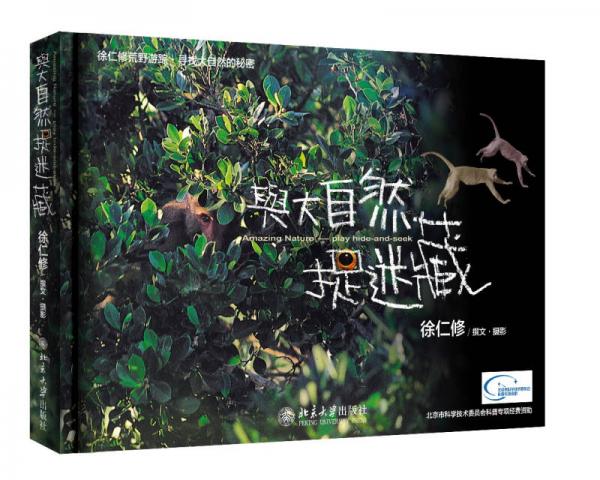 與大自然捉迷藏