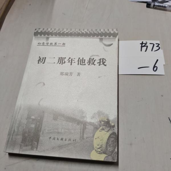 初二那年他救我