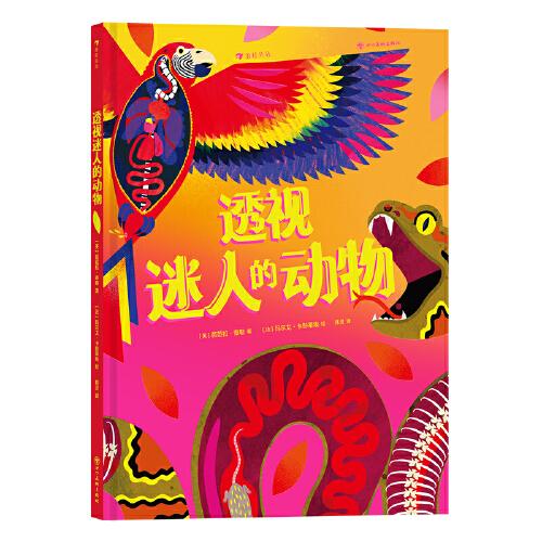 透視迷人的動物（專業(yè)作者創(chuàng)作，獨(dú)特視角探秘動物內(nèi)部構(gòu)造，帶你重新認(rèn)識迷人的動物?。? onerror=