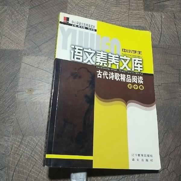 古代詩歌精品閱讀