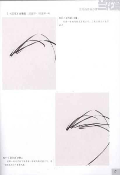 析疑解惑·花鸟画系列：兰花篇