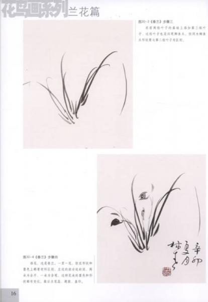 析疑解惑·花鸟画系列：兰花篇