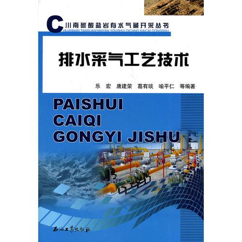 川南碳酸鹽巖有水氣藏開采叢書 排水采氣工藝技術(shù)