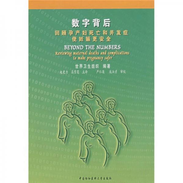 数字背后：回顾孕产妇死亡和并发症使妊娠更安全