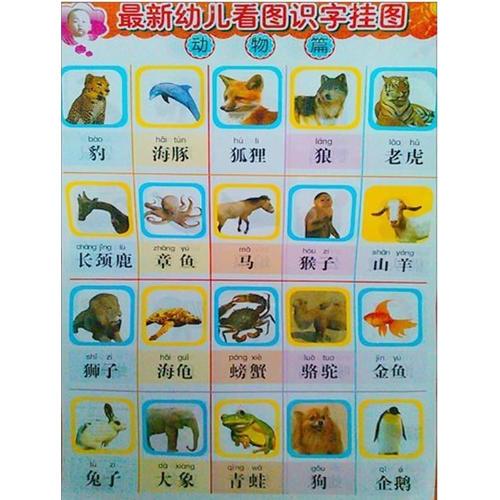 最新幼兒看圖識(shí)字掛圖 動(dòng)物篇