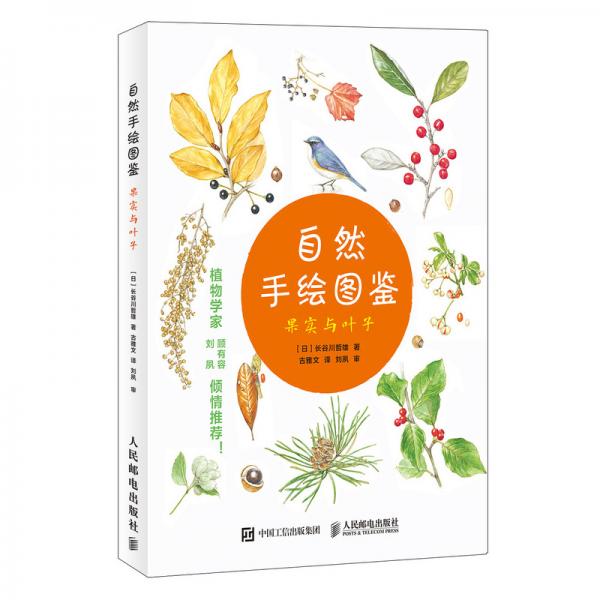 自然手绘图鉴果实与叶子
