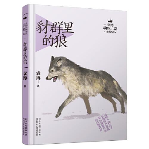 袁博动物小说美绘本-豺群里的狼