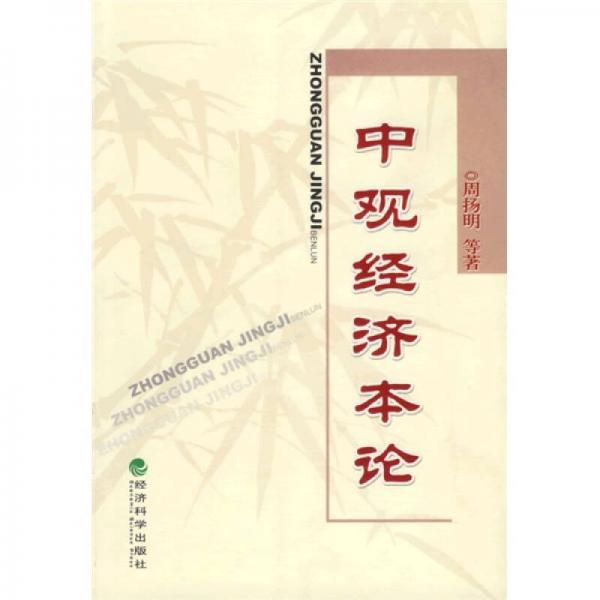 中觀經(jīng)濟(jì)本論