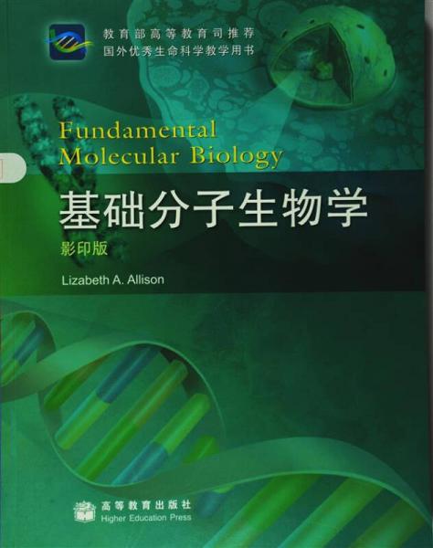 国外优秀生命科学教学用书：基础分子生物学（影印版）