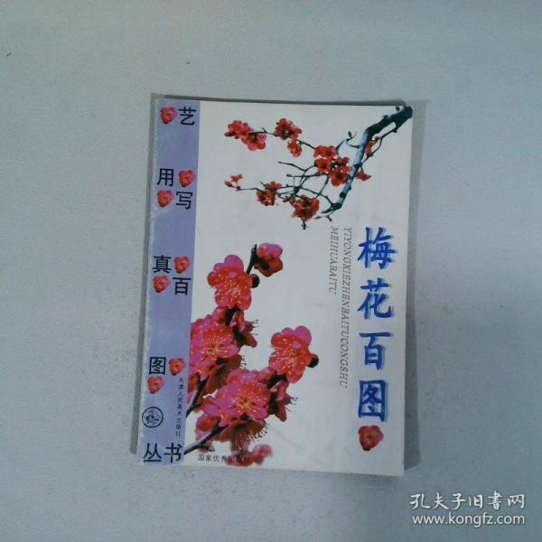 梅花百圖