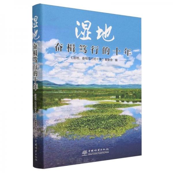 濕地,奮楫篤行的十年