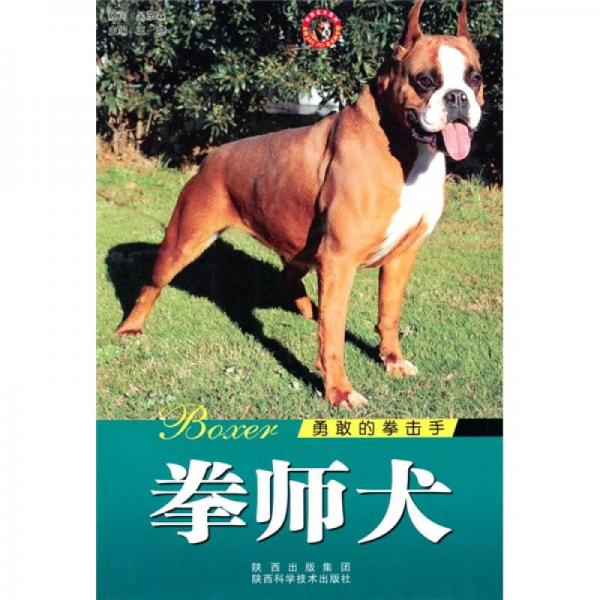 世界名犬：拳师犬