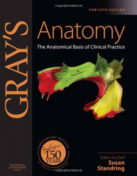 Gray's Anatomy：Gray's Anatomy