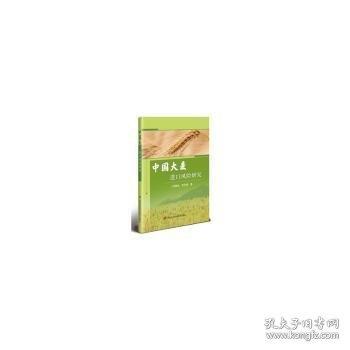 中国大口风险研究