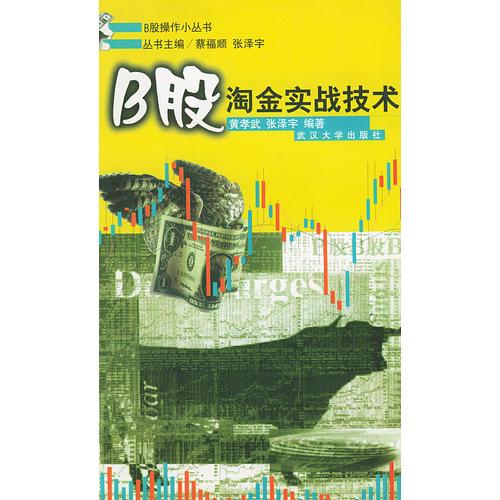 B股淘金實(shí)戰(zhàn)技術(shù)/B股操作小叢書